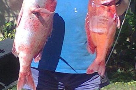  Grant White met sy stompneus en rooi roman